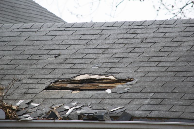 Shingle Damage Repair