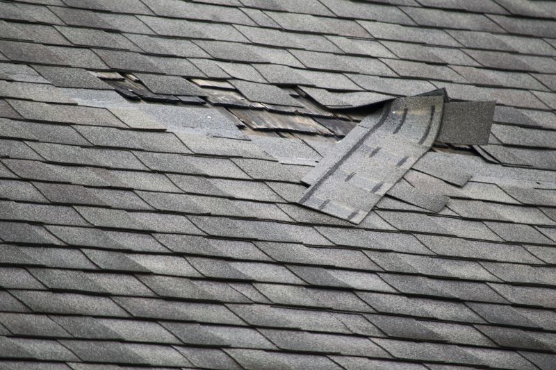 Gutter and Roof Edge Repair